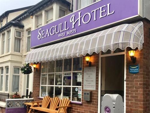 Seagull Couette-café Blackpool
